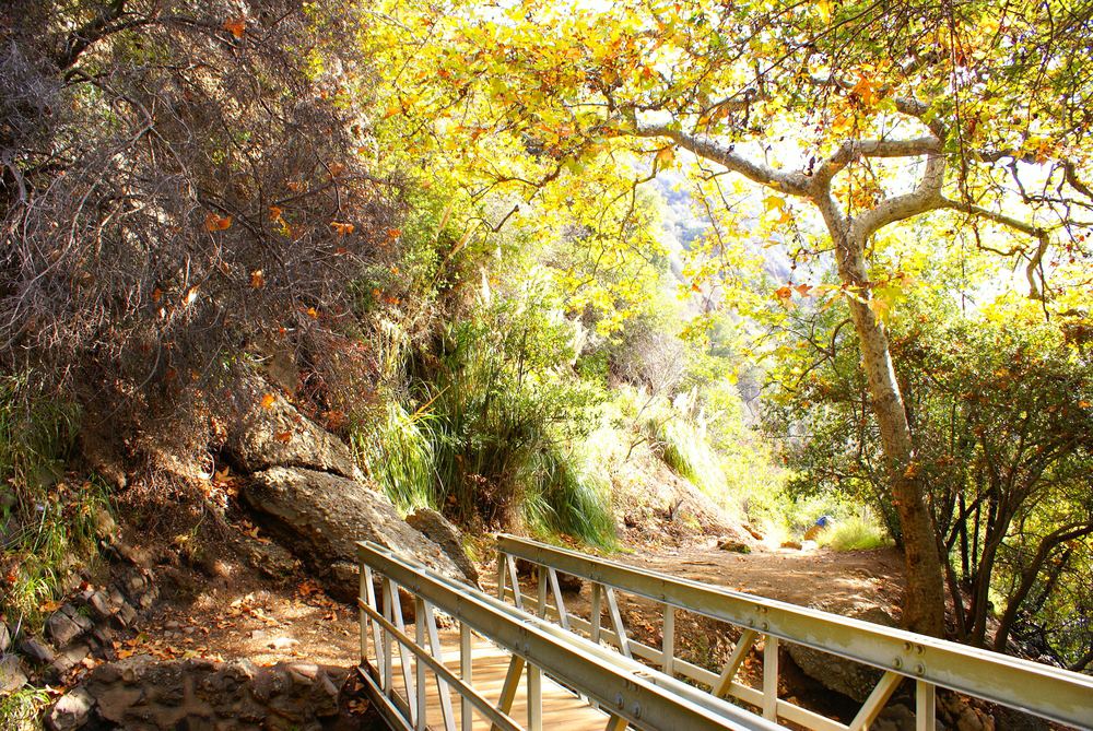 11 Must Try Waterfall Hikes In Los Angeles