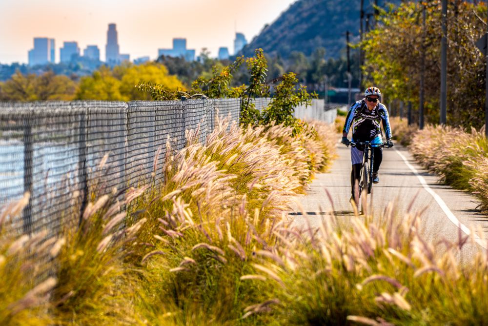 The Best Bike Paths in Los Angeles