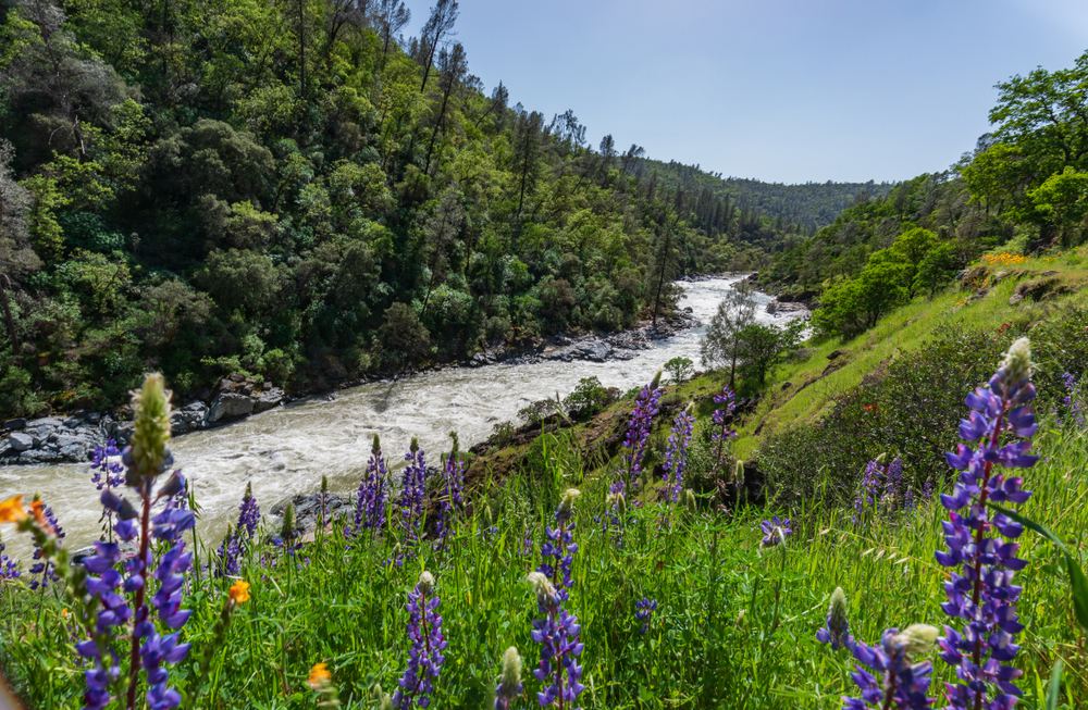 9-places-to-search-for-gold-in-california