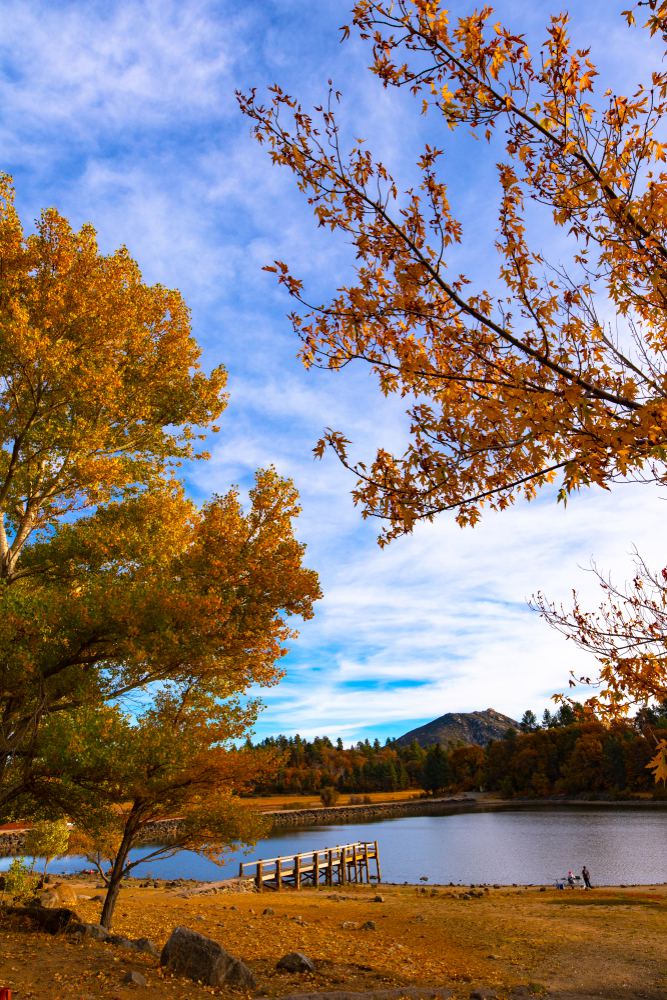 Where to See Stunning Fall Foliage in Southern California