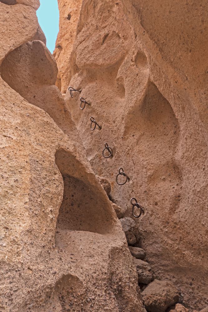 slot canyon creature slot canyon creature