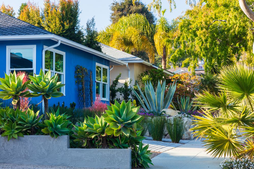 Drought Tolerant Landscaping In California, Central Coast Landscape And Maintenance