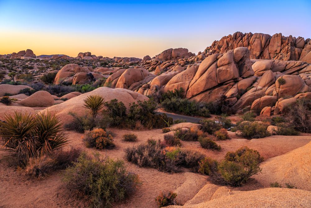 fun-facts-about-california-s-deserts