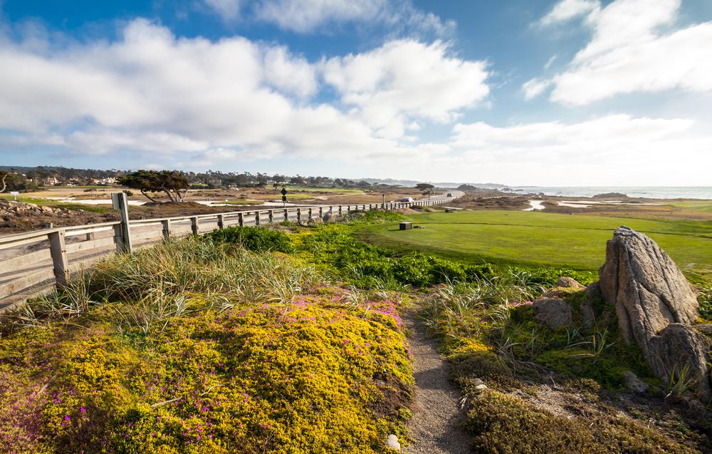 take tours 17 mile drive