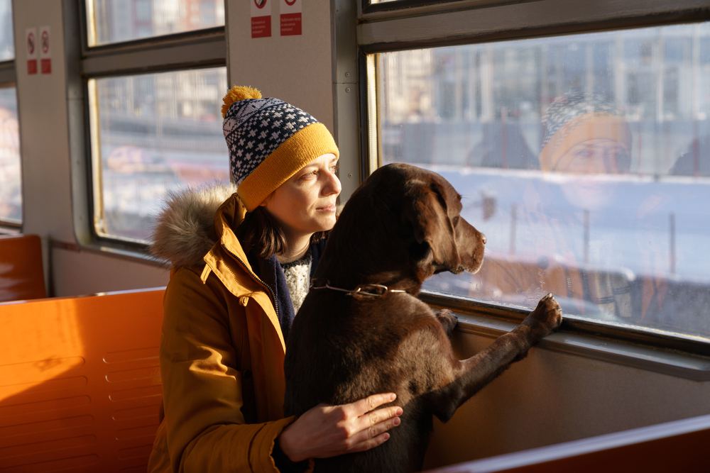 9 DogFriendly Cities in California to Move to with Your Pup