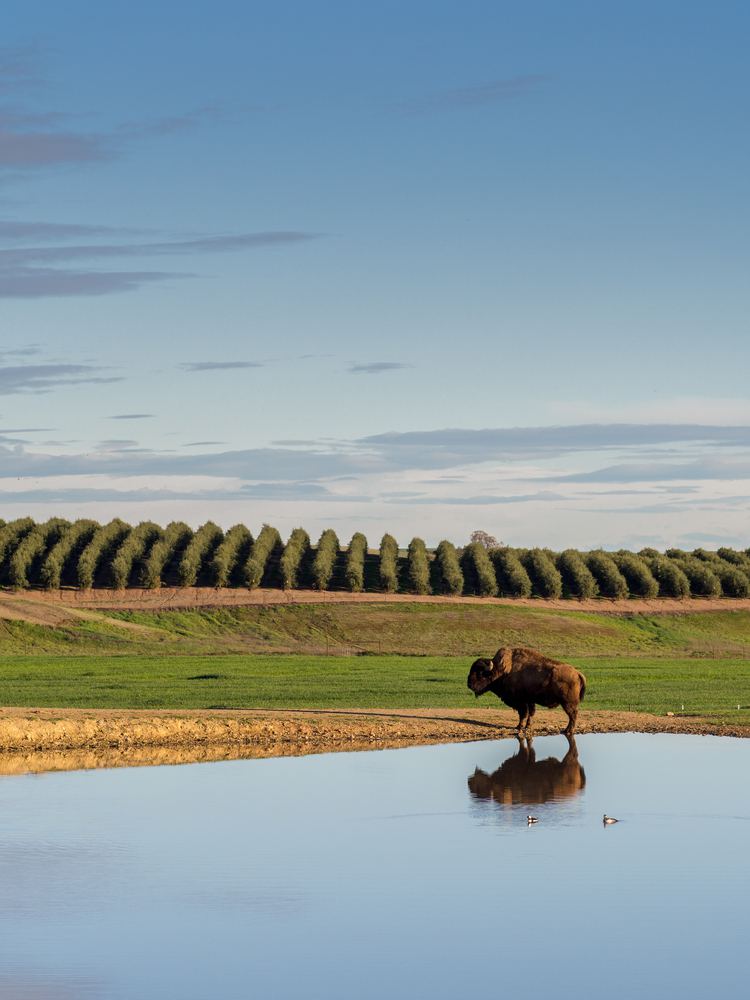 The Best Cities for Renters in California