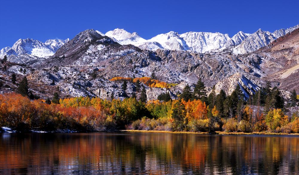 Where to See California's Fall Foliage in Every Region