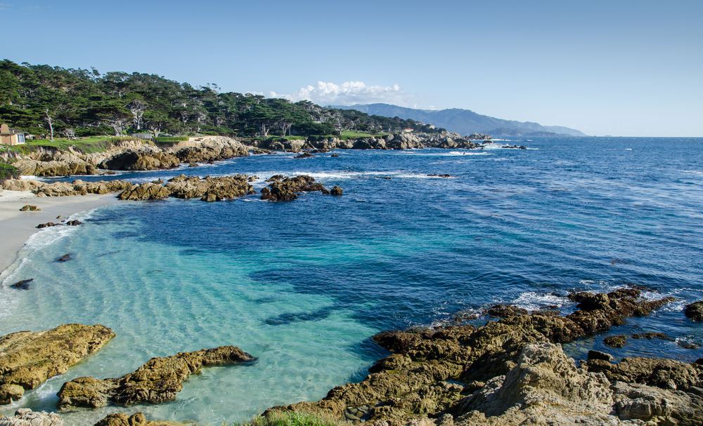 California Coastal Spotlight: Incredible Things to do in Monterey