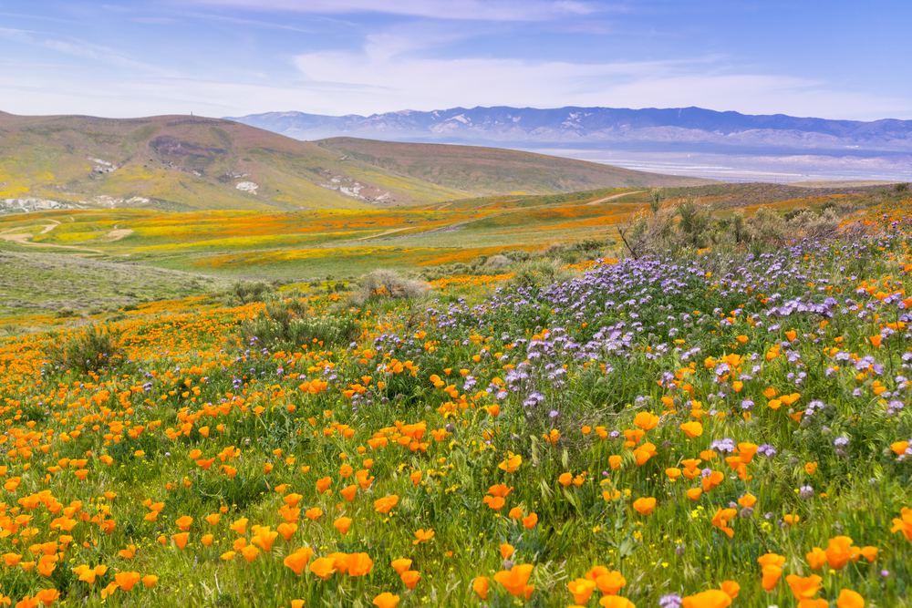 A Guide to California's Valleys