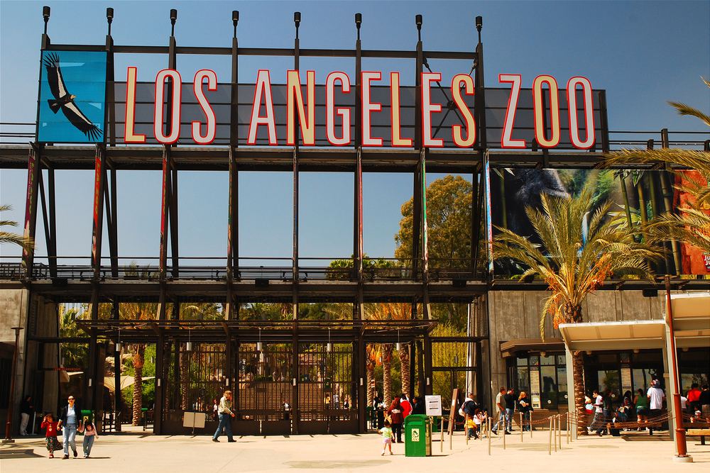 11 Southern California Zoos Worth Visiting