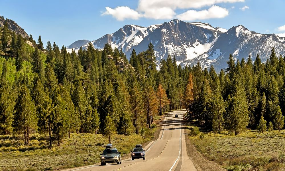 The Best Winter Road Trips in the Golden State