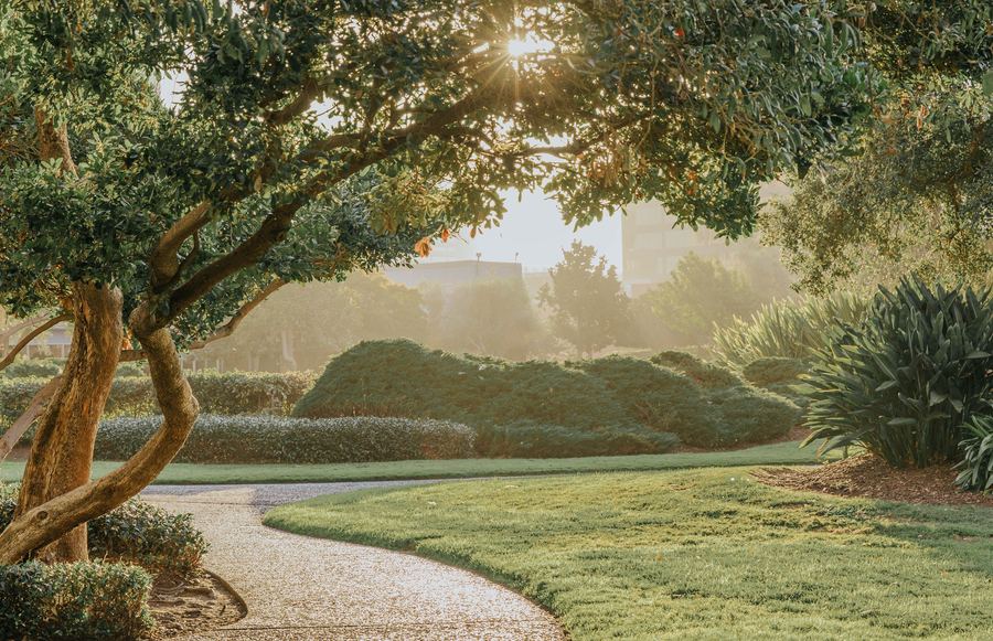 The 5 Hidden Gems of Oakland You Need to See to Believe