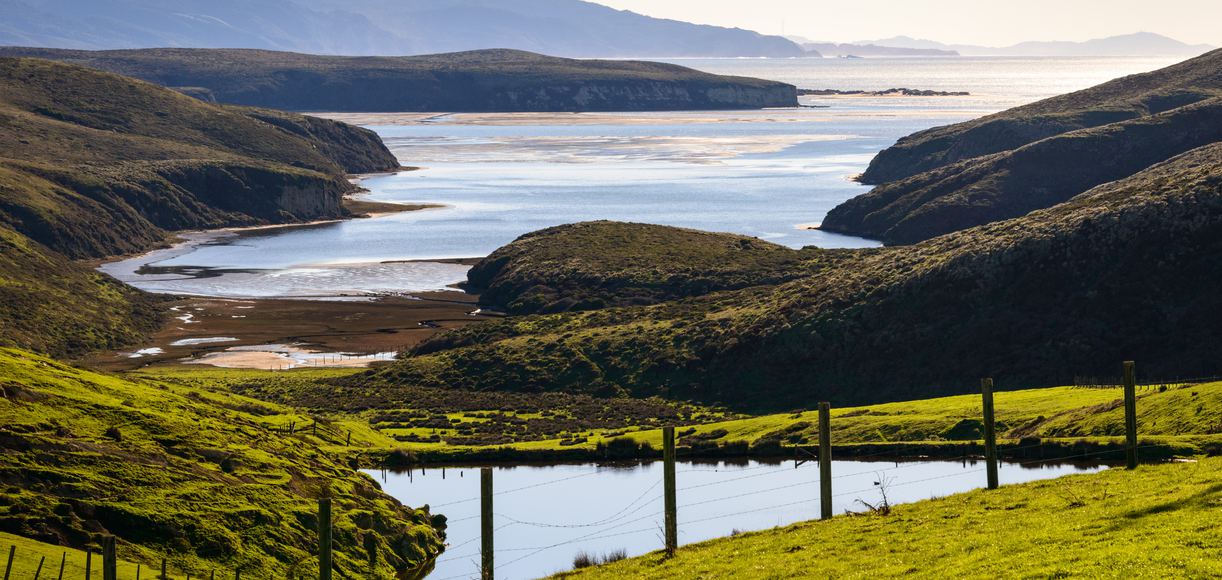 6 Fun Things to Do in Point Reyes to Add to Your Itinerary
