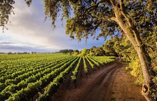 9 Ways Sonoma County Can Offer A Lifestyle You Enjoy