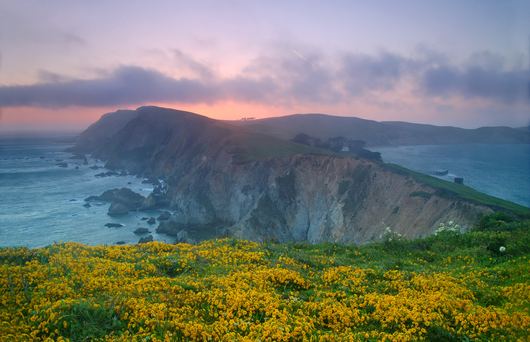 A Guide to Camping at Point Reyes National Seashore