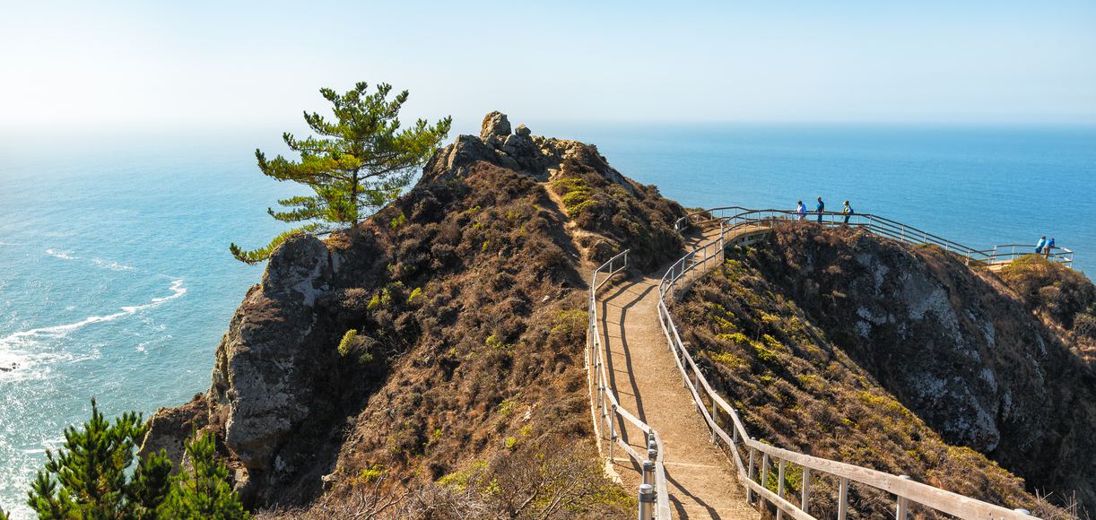 Easy Coastal Hikes in the Bay Area