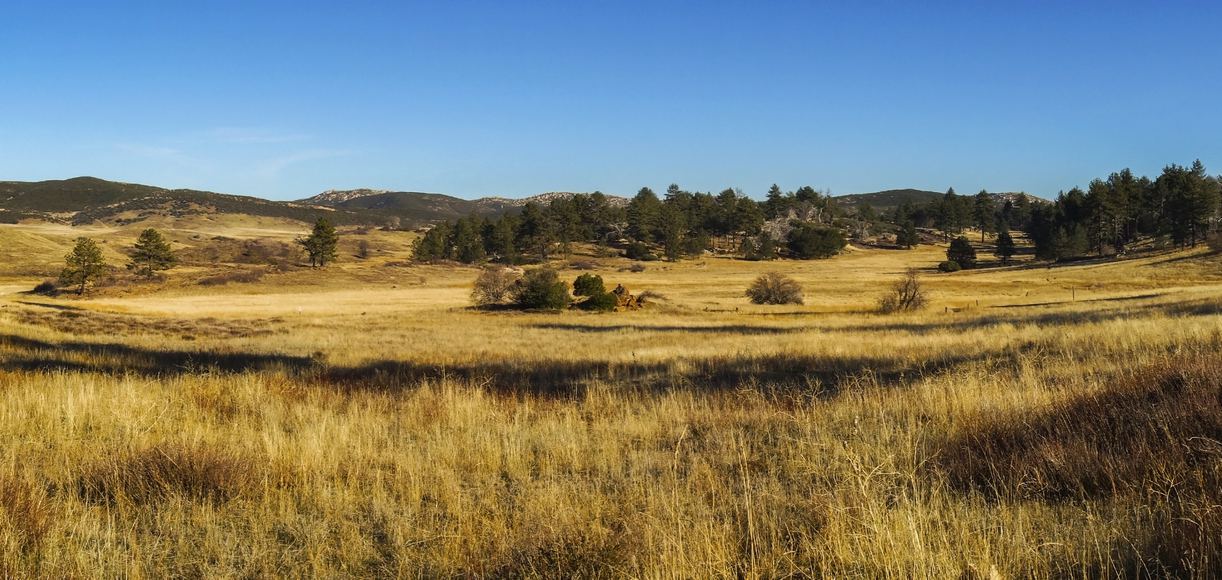 Unearth the Unique Charm: Experience the Best of San Diego Country Estates
