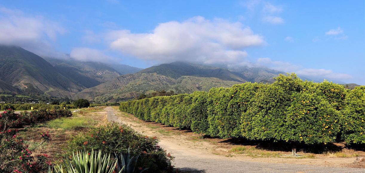 Valley Center An Idyllic Oasis of Nature, Culture, and Community