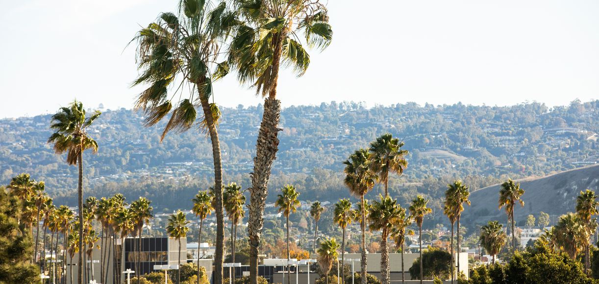 Embracing the West Athens Charm