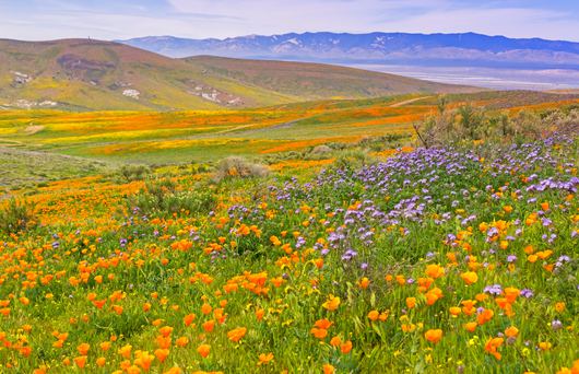 The 15 Best Family-Friendly Beaches in California