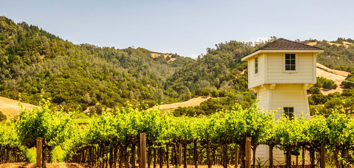 10 Things To Do In Sonoma You Haven't Thought Of Yet