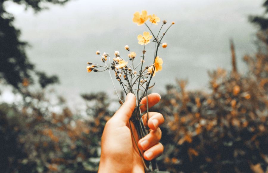 California Brands That Give Back