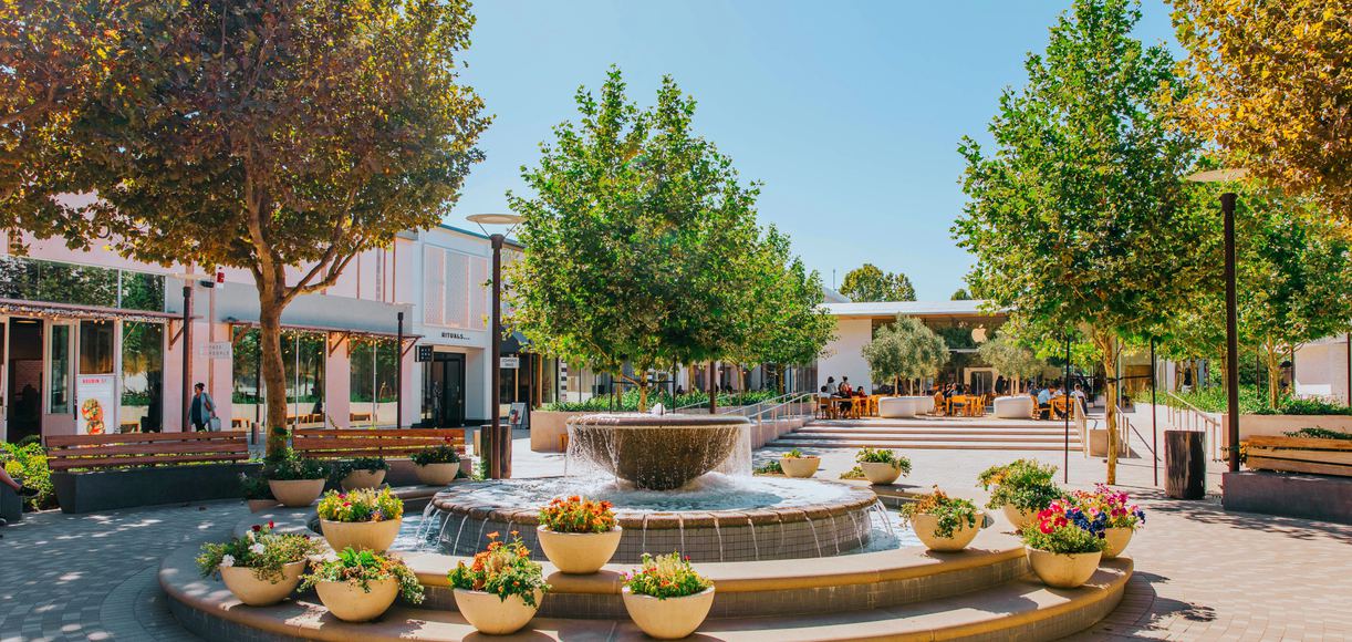 East Bay City Guide: A Day in Walnut Creek