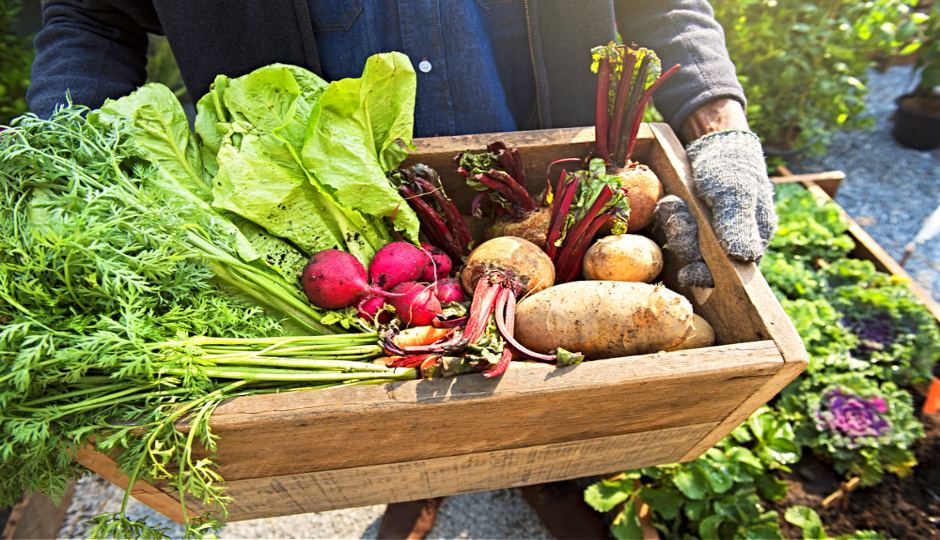 How the FarmtoTable Movement Got Started in California