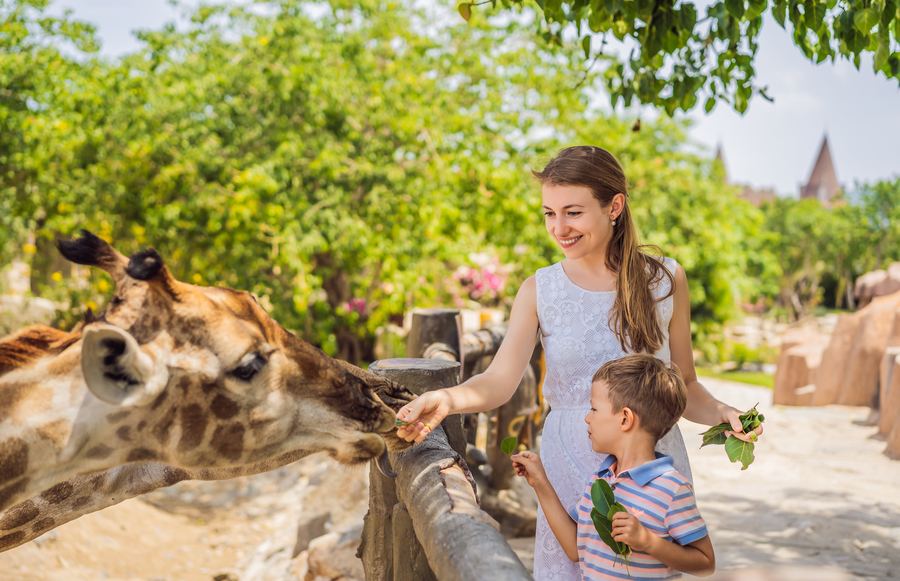 24 Questions about California's Zoos, Answered