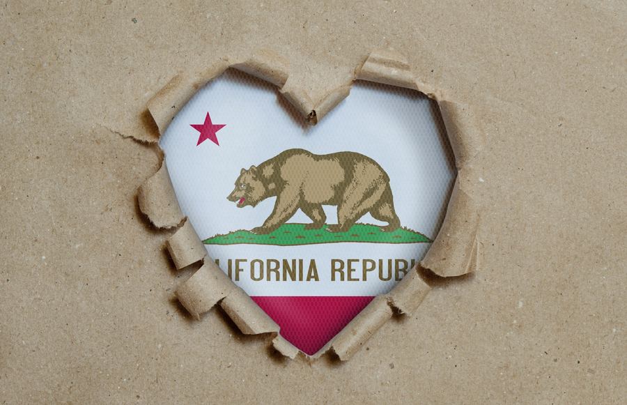 Every Californian Counts: Here's What You Need to Know About The 2020 Census