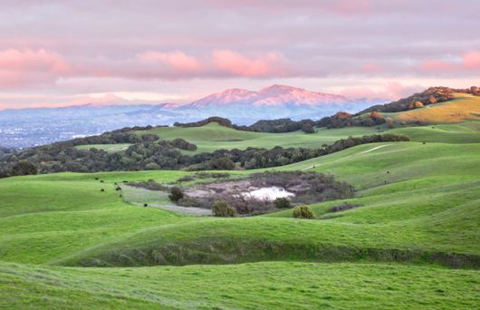 Explore Contra Costa County's Family-Friendly Towns and Wide Open Spaces