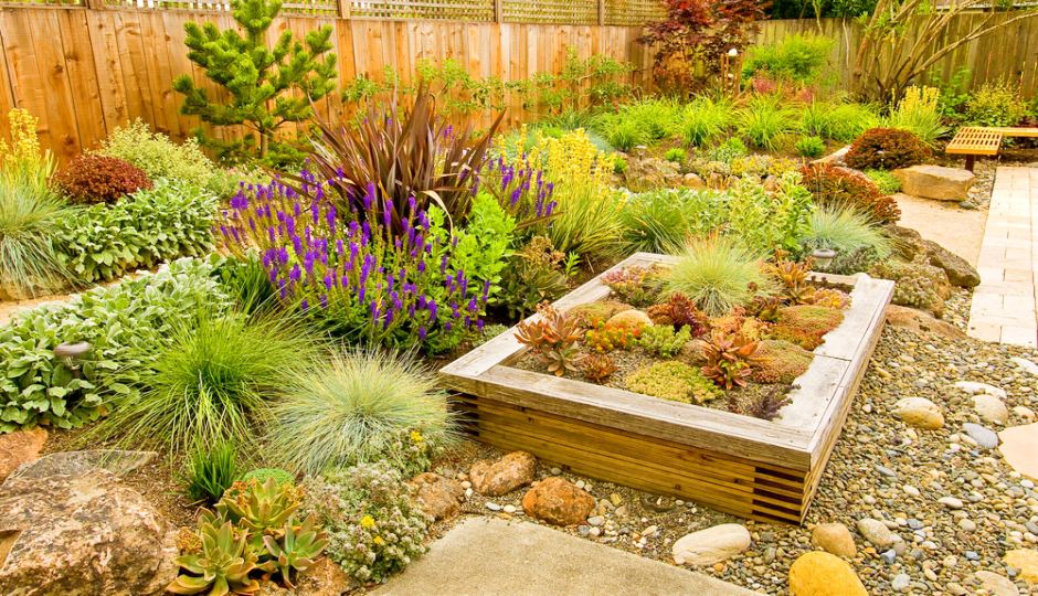 a-guide-to-easy-drought-tolerant-landscaping-in-california