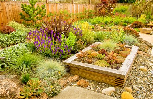A Guide to Easy Drought-Tolerant Landscaping in California