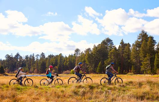 Blissful Bike Rides: The Best Cycling Trails in the East Bay