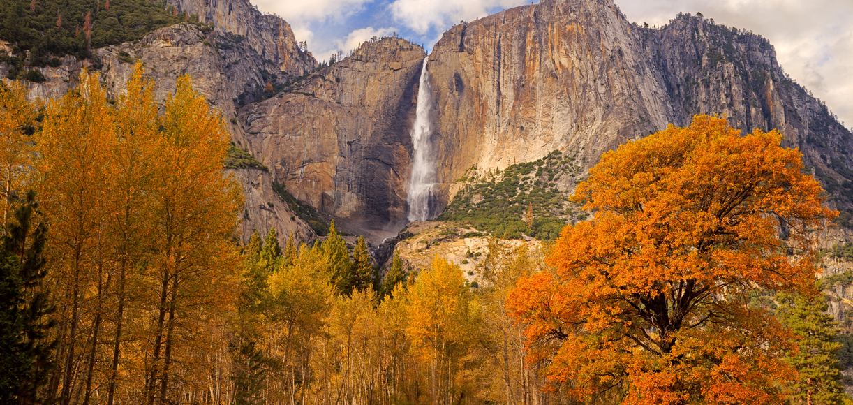 Where to See California's Fall Foliage in Every Region