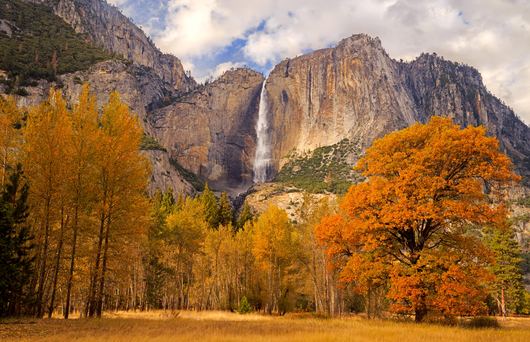 Where to See California's Fall Foliage in Every Region