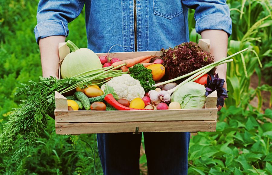 The Fall Vegetables And Fruits We Can’t Get Enough Of