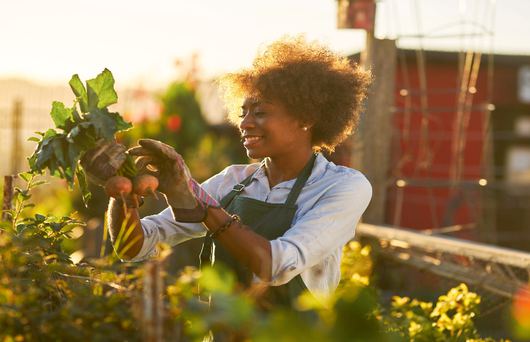 The People's Produce: A Guide to California's Community Gardens