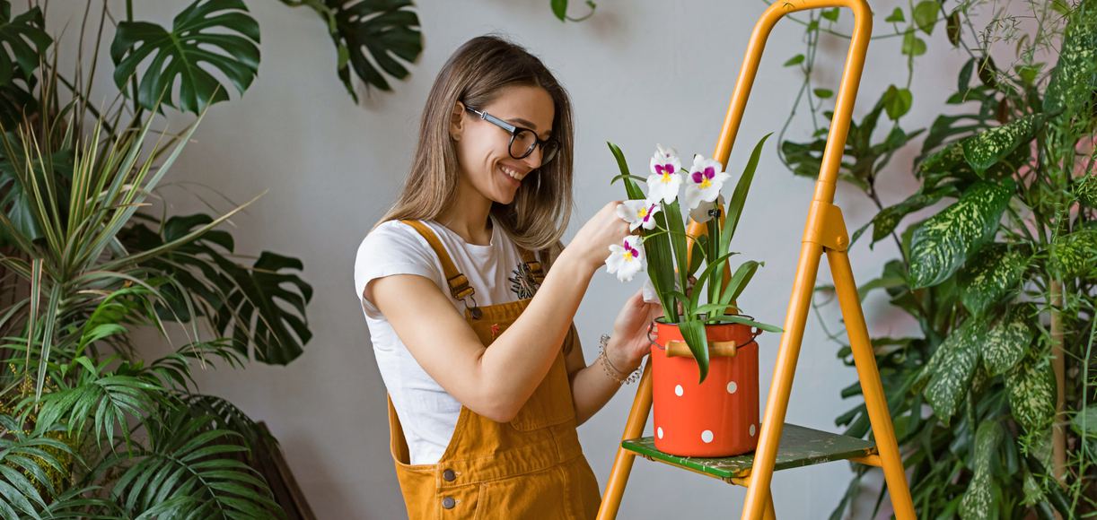 Everything You Need To Know About Gardening In California