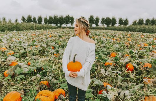 These Bay Area Pumpkin Patches Are Anything But Basic