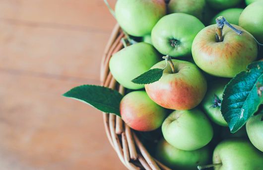 An Apple a Day Means One Thing: The Gravenstein Apple Fair is Here
