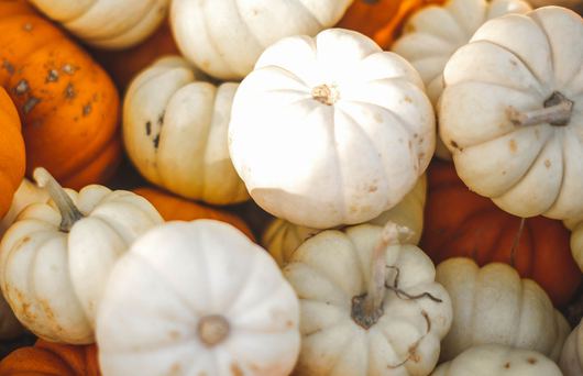 The Half Moon Bay Fall Festival You Don't Want to Miss
