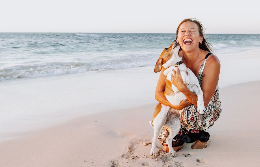 Fun With Fido: The Best Dog-Friendly Beaches in California