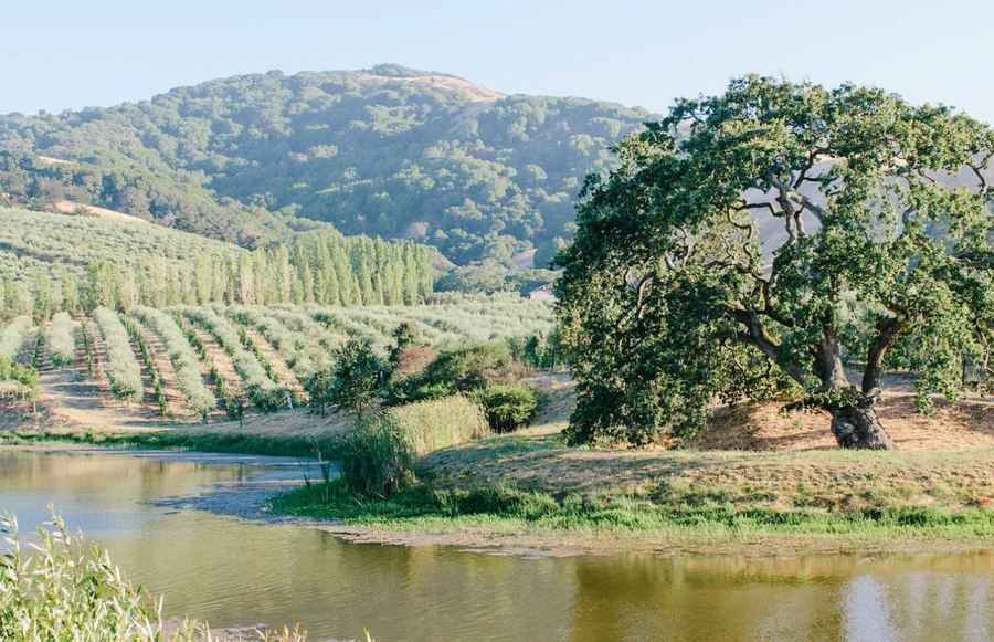 Getaway Guide: Petaluma