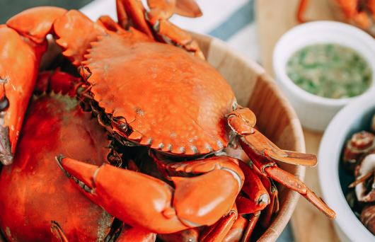 We're Getting Crabby: Crab Feast Mendocino Starts Monday