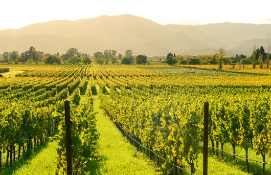 11 Places To Go Hiking in Napa Valley
