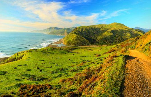 Traversing Trails: The Lost Coast