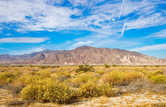 What to See and Do in Imperial County