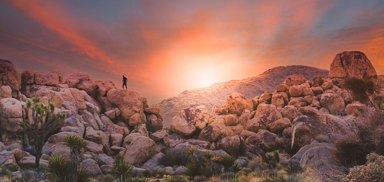 A Guide to The Best Hikes in Joshua Tree