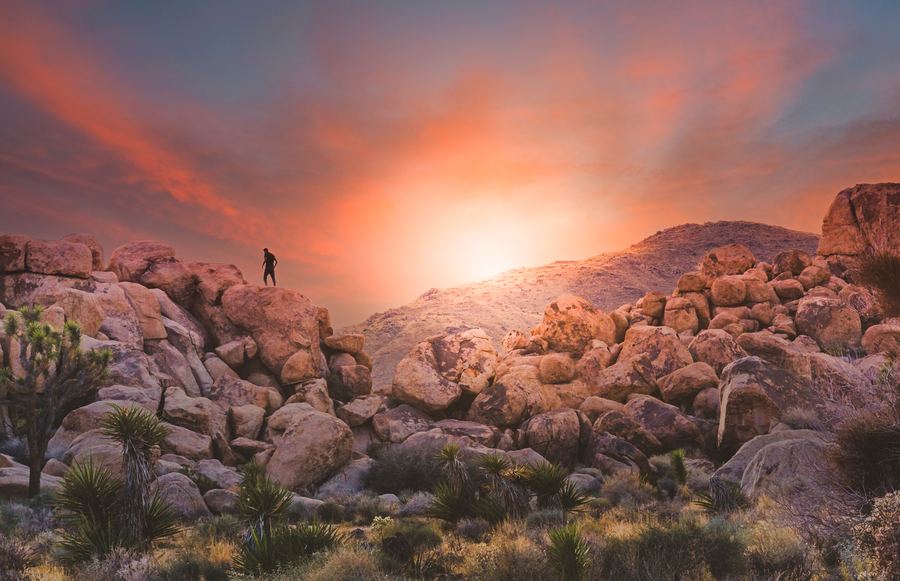 A Guide to The Best Hikes in Joshua Tree